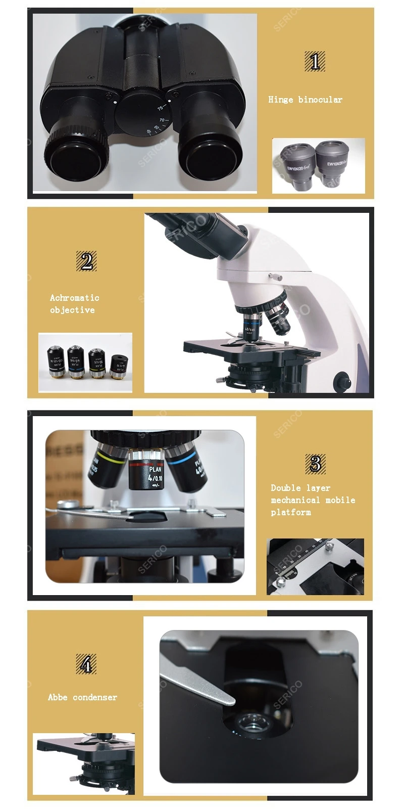 20211703 N-300M -2A.jpg