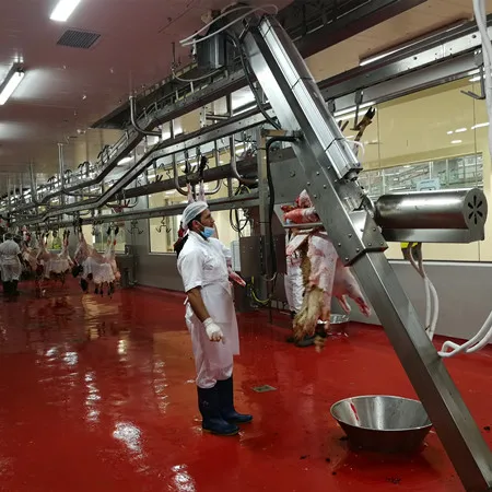 halal_slaughter_house_line_lamb_abattoir_with_sheep_meat_processing_cutting_butcher_equipment