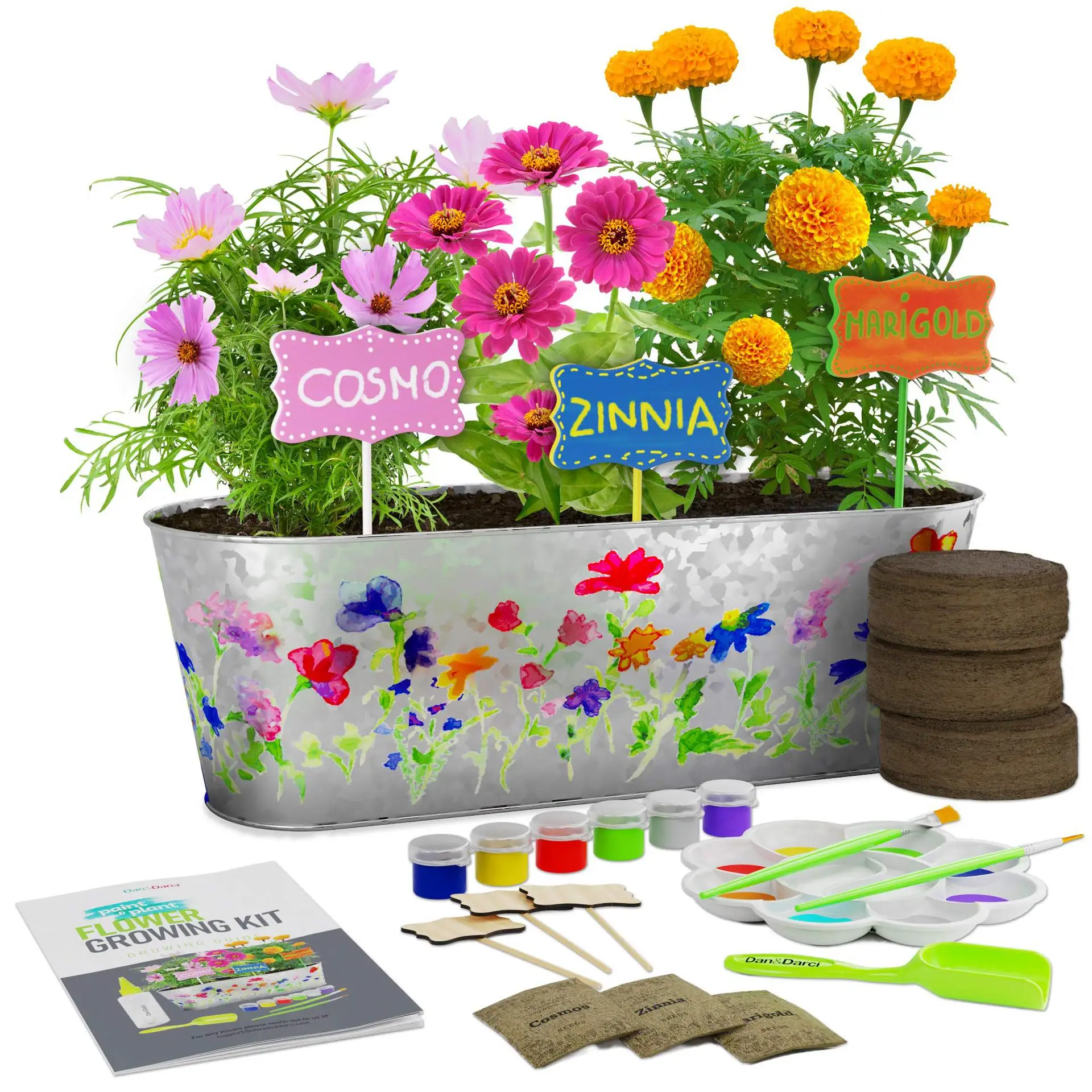 Paint & Plant Flower Growing Kit Kids Gardening Science Gifts For