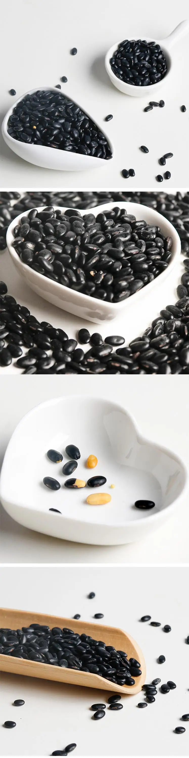 High Quality Big Dried Organic Black Beans wholesale With Yellow Core