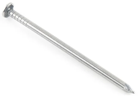 0004489_common-nail