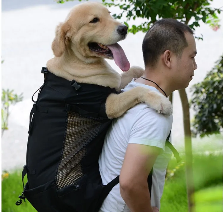 big dog bag