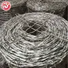 /product-detail/new-product-green-barbed-wires-tapes-barb-wire-tapes-barbed-wire-fencing-62280353285.html
