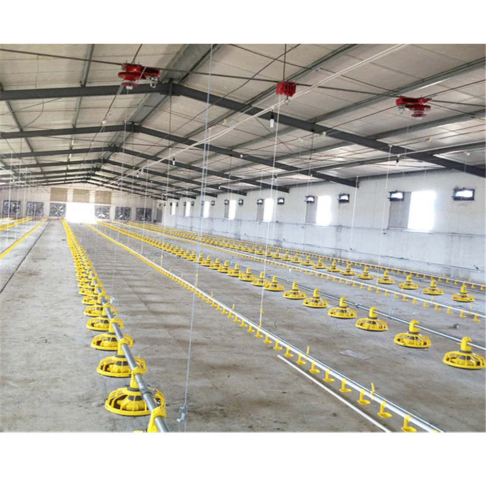 Cheap Steel Frame Broiler Coop/industrial Modern Chicken Coop House For