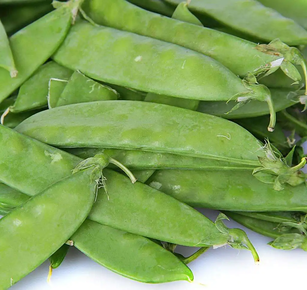 wholesale price new supply vegetable snow peas green frozen pea