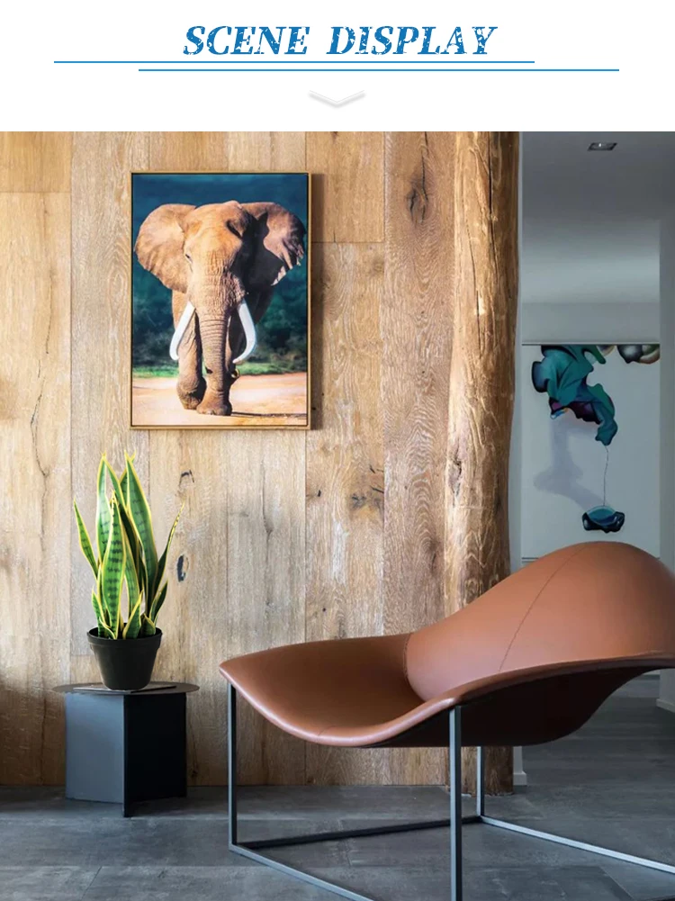 50cm(JC007S50-LY(Y)) (2)