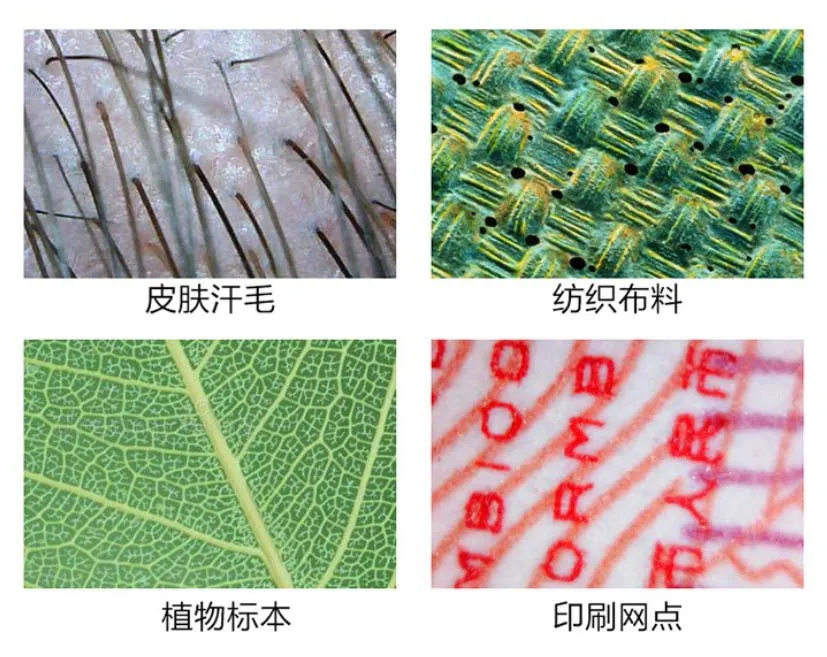 Wifi Digital Microscope 1000x Zoom Electronic Usb Microscope Usb Wifi Endoscope For Android And Iphone Buy Wifi Microscope Microscope Wifi Wifi Digital Microscope Product On Alibaba Com