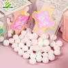 Fresh Breath Suger Free Mints KISS HARD CANDY with Blend Flavor