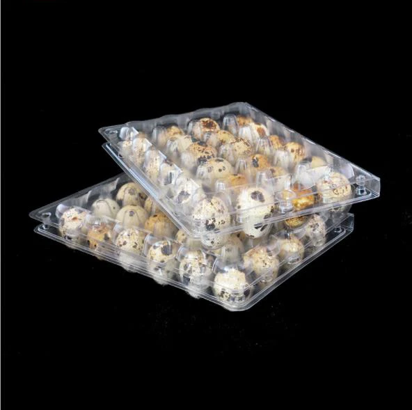 Plastic blister quail egg tray pack for storage