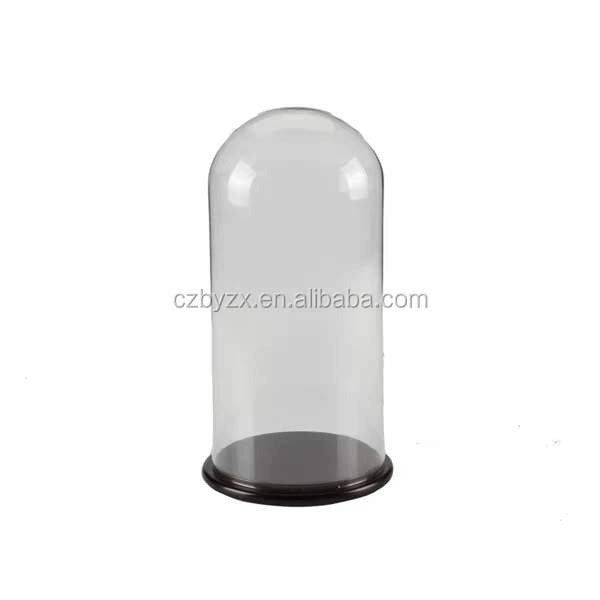 glass dome (27).jpg