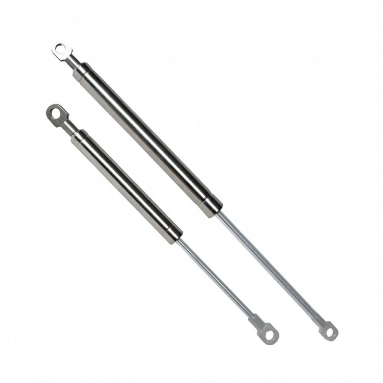 High Quality Stainless Steel Gas Strut 300n For Boat Hatch Buy Gas