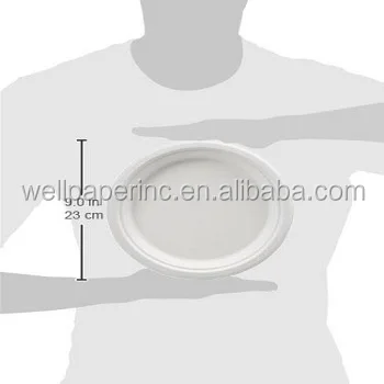 9'' paper plate 09.jpg