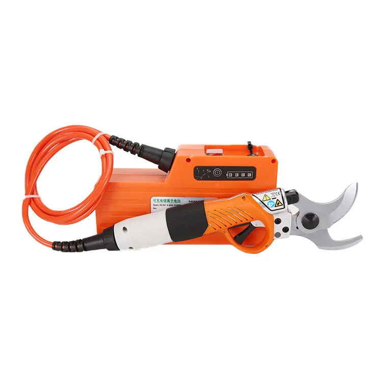 Pruning Shear33