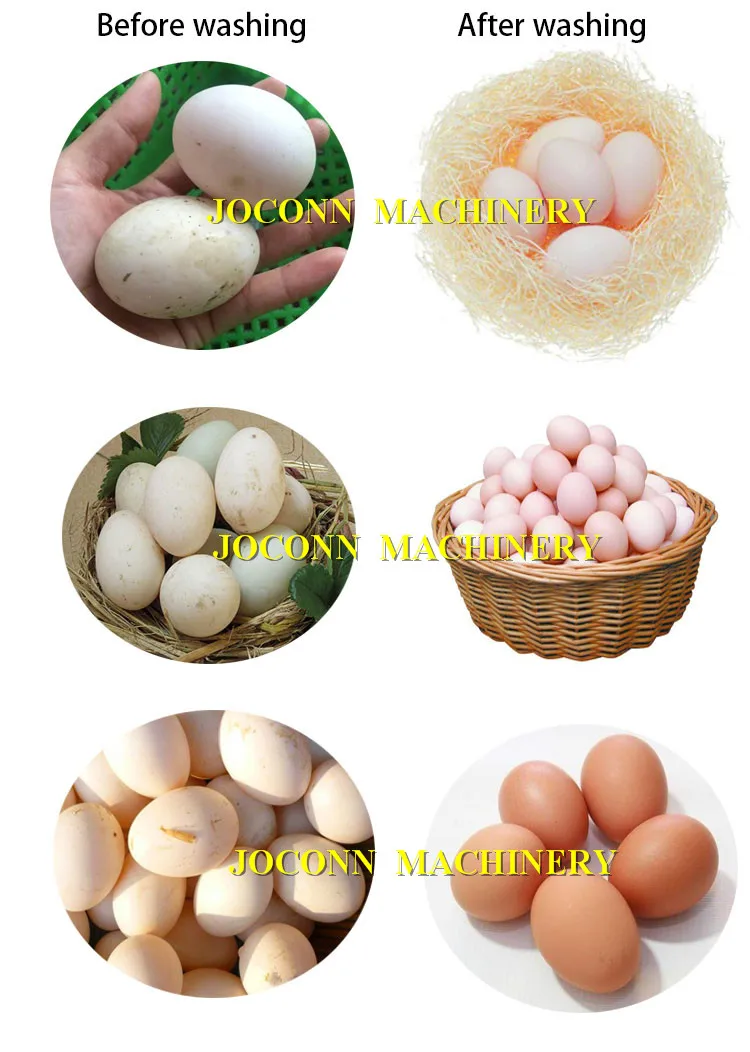Stainless Steel Hen Egg Cleaning Machine/ 3600pcs/h Chicken Egg Washing