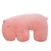 Hot-Selling Bear Pillows Soft Polar Bear Plush Dolls For Girl's Birthday Gift Stuffed Animals Dolls Small Sleeping Bear