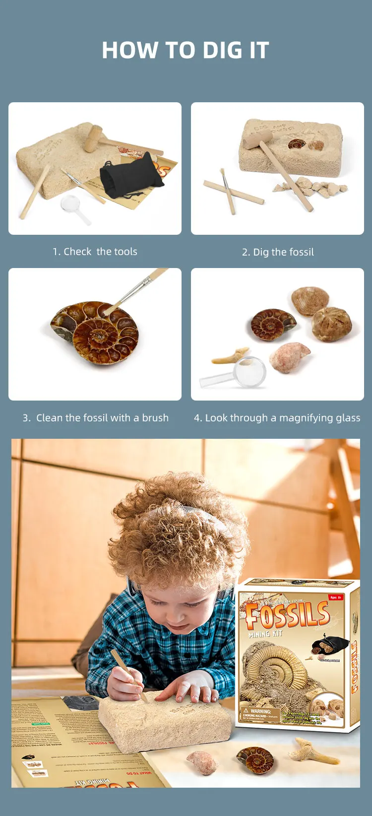 2021 Popular Toy Diy Dig And Discover Authentic Fossils Mining Kit / Real Fossil Excavation Kit