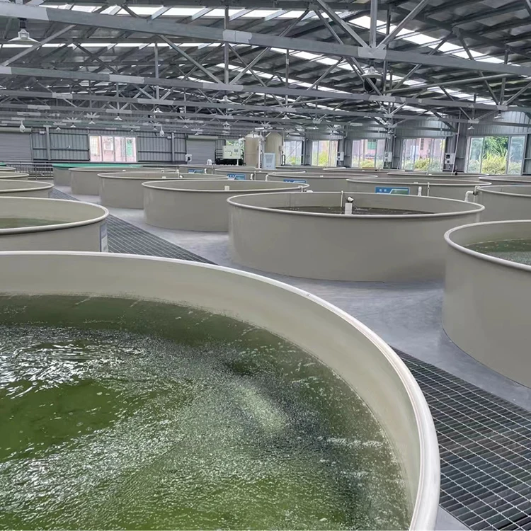 Ras Indoor Fish Shrimp Farming Equipment Ras Indoor Recirculating 