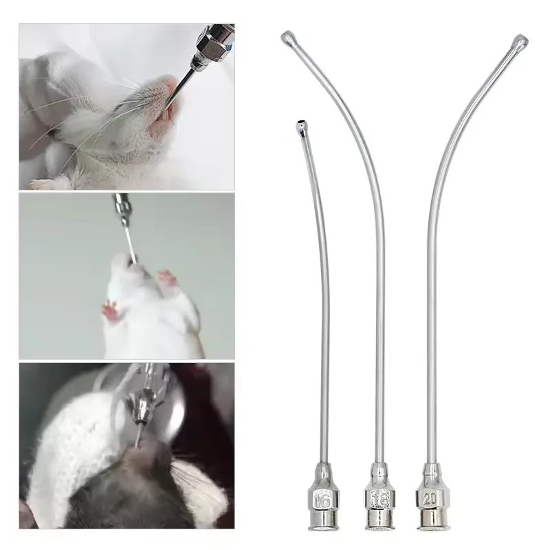 Livestock Bend Head Feeding Syringe Needle Stainless Steel Rabbit ...