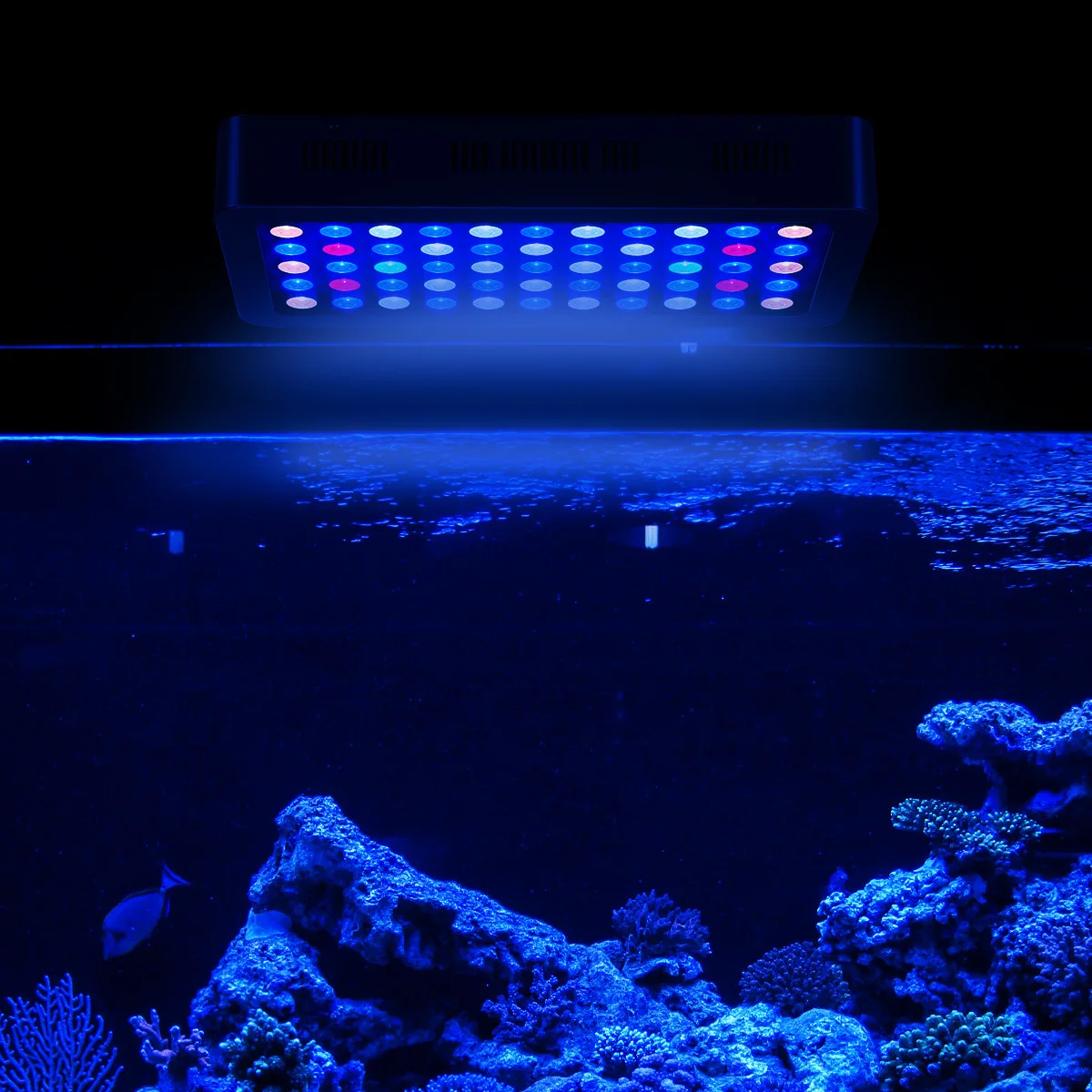 Factory Direct Led Aquarium Light Coral Reef 165w Led Aquarium