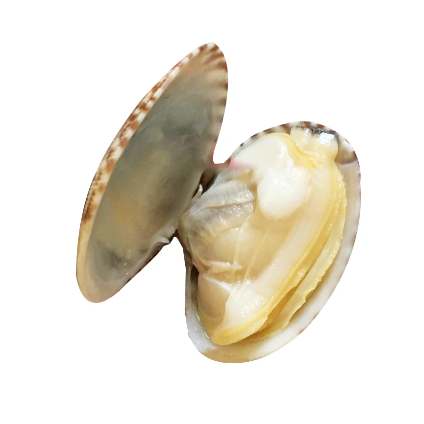 
Frozen short necked baby clam 