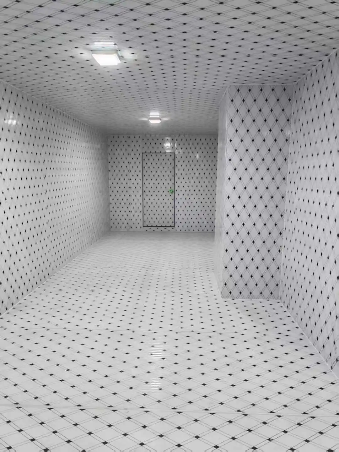 Chamber with Bitzer Compressor, 220-480V, 2kw - detail 16