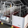 pig house building plan cage direct sale pig cage automatic pig raising equipment production line