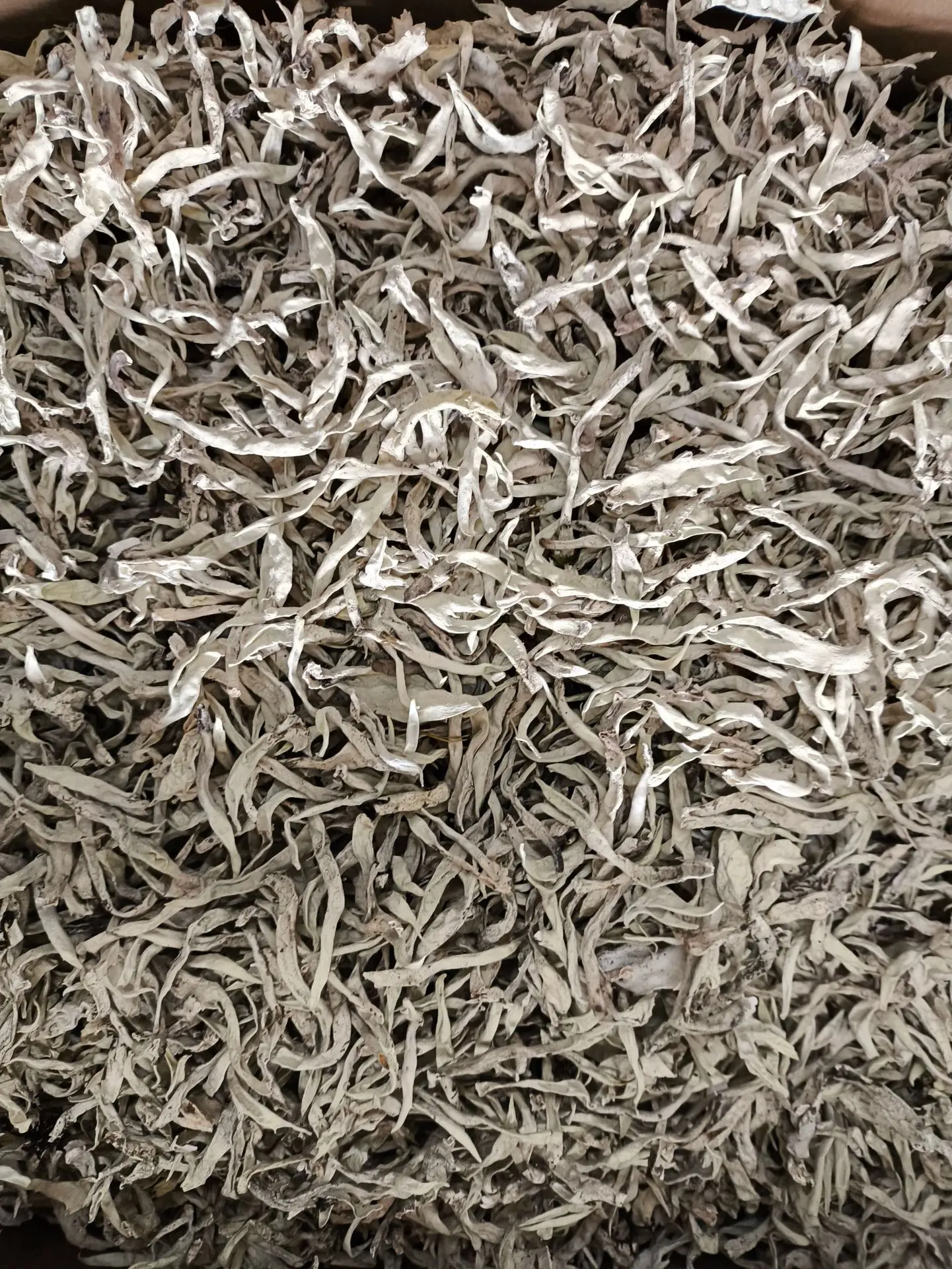 Bulk Discount on Tibetan White Snow Tea Dropshipping Available