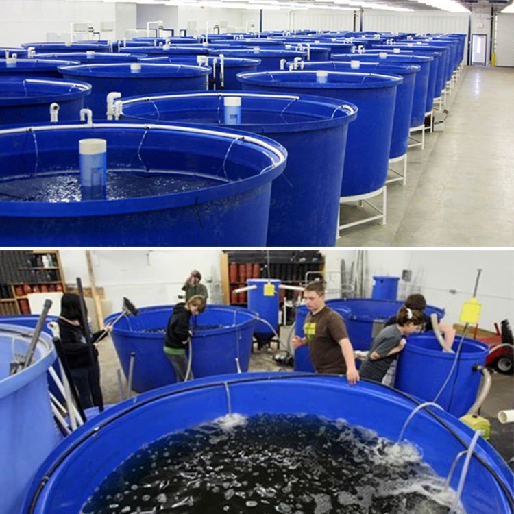 Hot Sale & High Quality 800liter Poly Plastic Fish Breeding Pools Tank