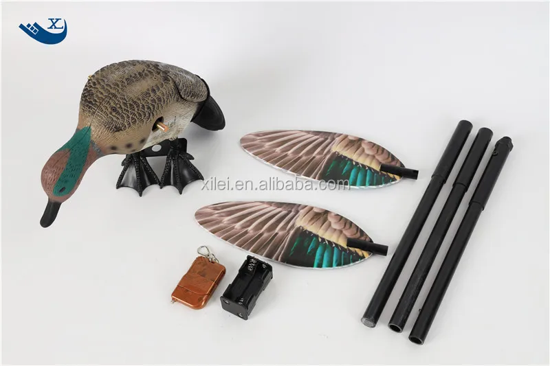 green wing teal (5).jpg