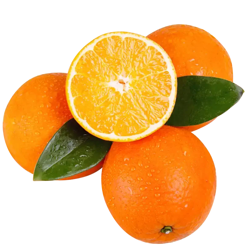 
Various Good Quality Orange Fresh Navel Oranges In Citrus 