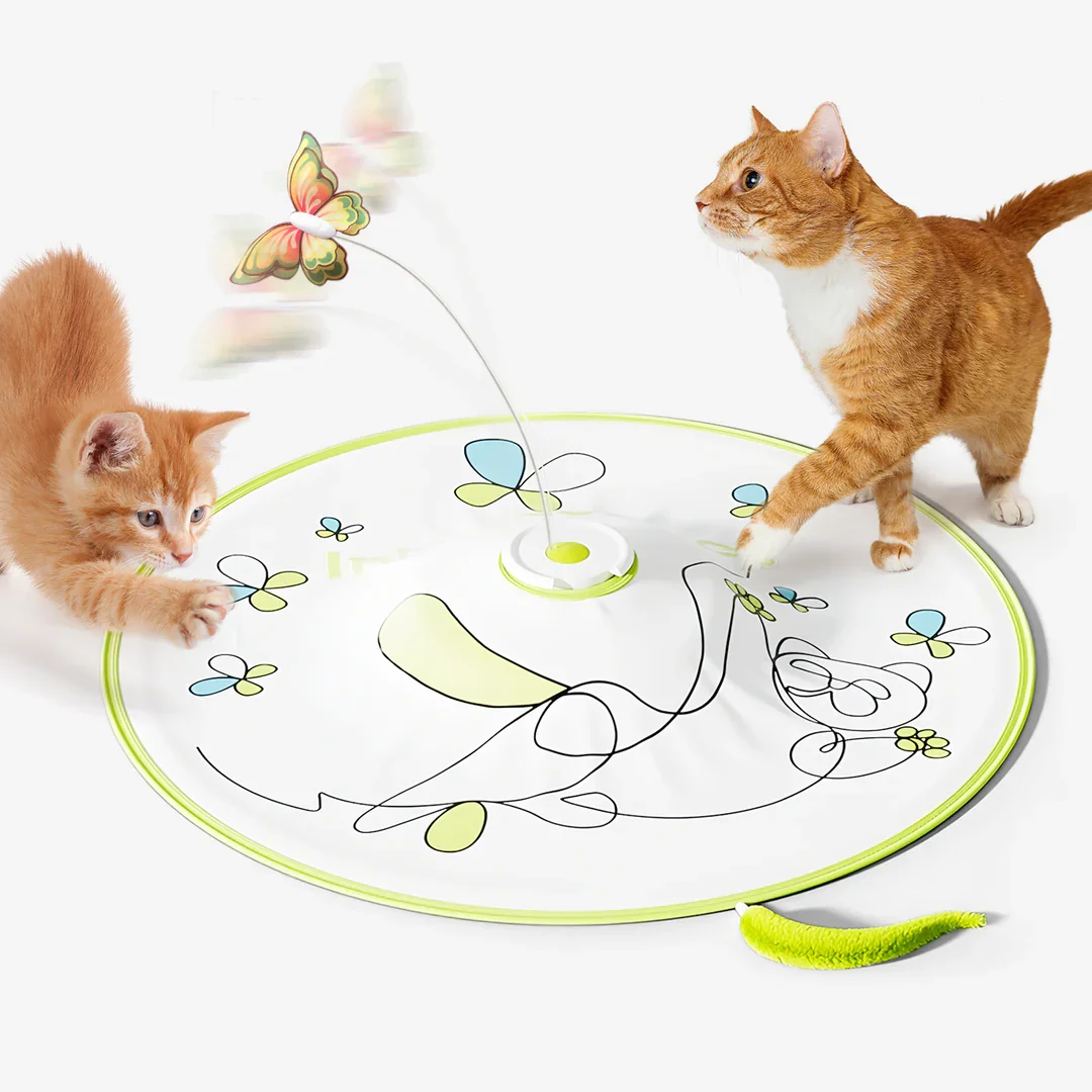 AFP Interactive Hide Seek Cat Teaser Toy - Mental Stimulation