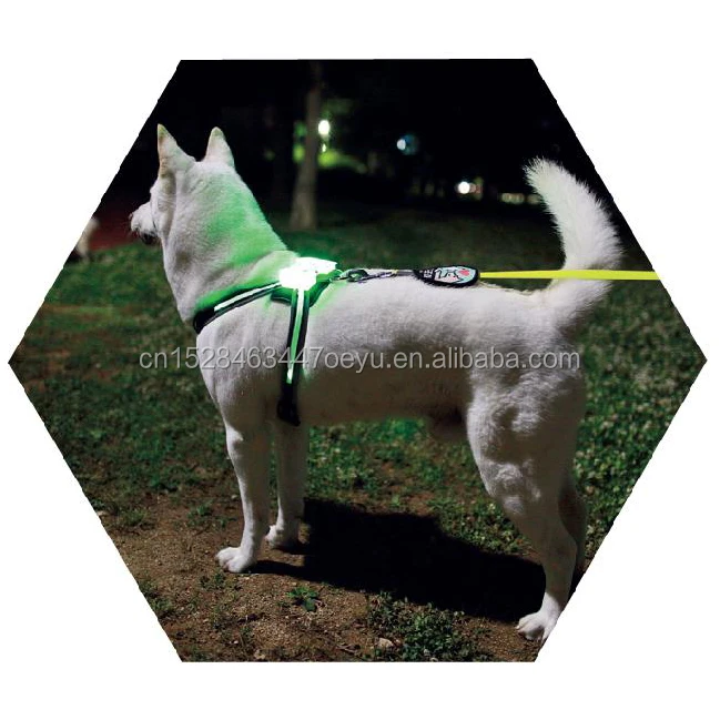 LED Dog Safety Harness 