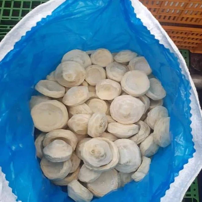 Factory Price High Quality 100 Natural Pure Fresh Vegetable High