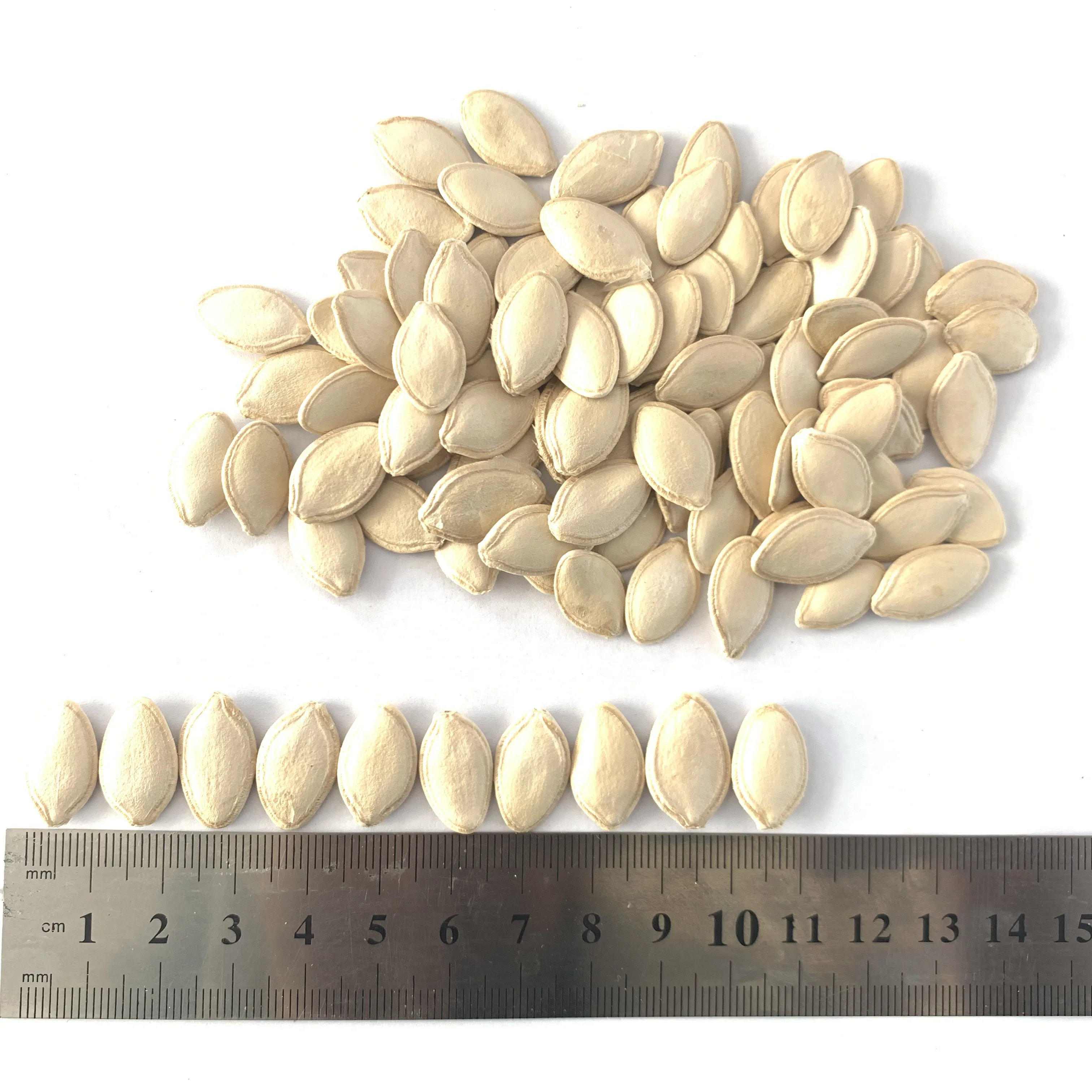 Gws Pumpkin Seed Kernel Buy China Pumpkin Pumpkin Seeds