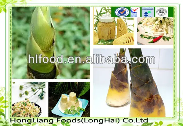 canned bamboot shoot.jpg