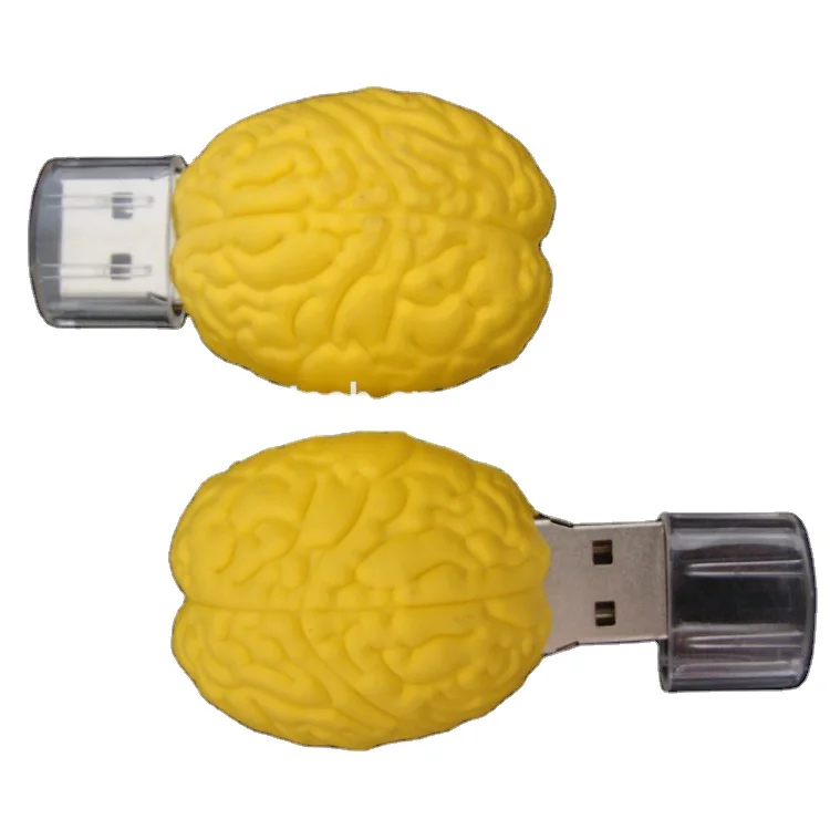 Brain Usb Flash Drive,Human Organ Shaped Usb Custom Brain Usb Stick 2.0