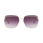 BS8009 Luxury Designer Sun Glasses Square Sunglasses Polarized Diving Shades Fashion Glasses
