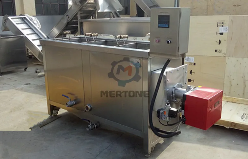 batch fryer (2)
