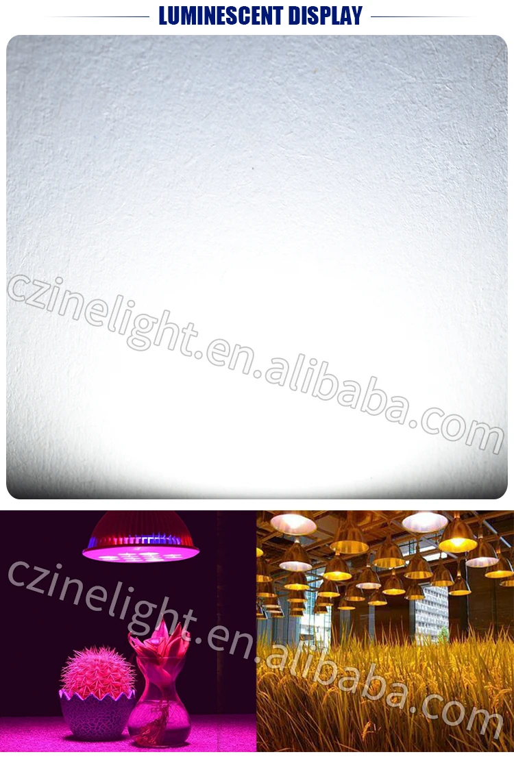 Czinelight Wholesale 110v 220V High Voltage White Drive-Free 20W Surface Light Source