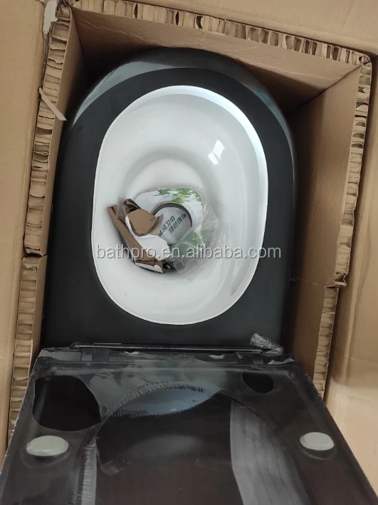 toilet-2.jpg