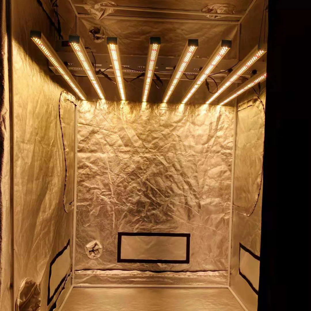 Wholesale And Retail Garden Greenhouse 600d Grow Tent 80x80 Buy Grow