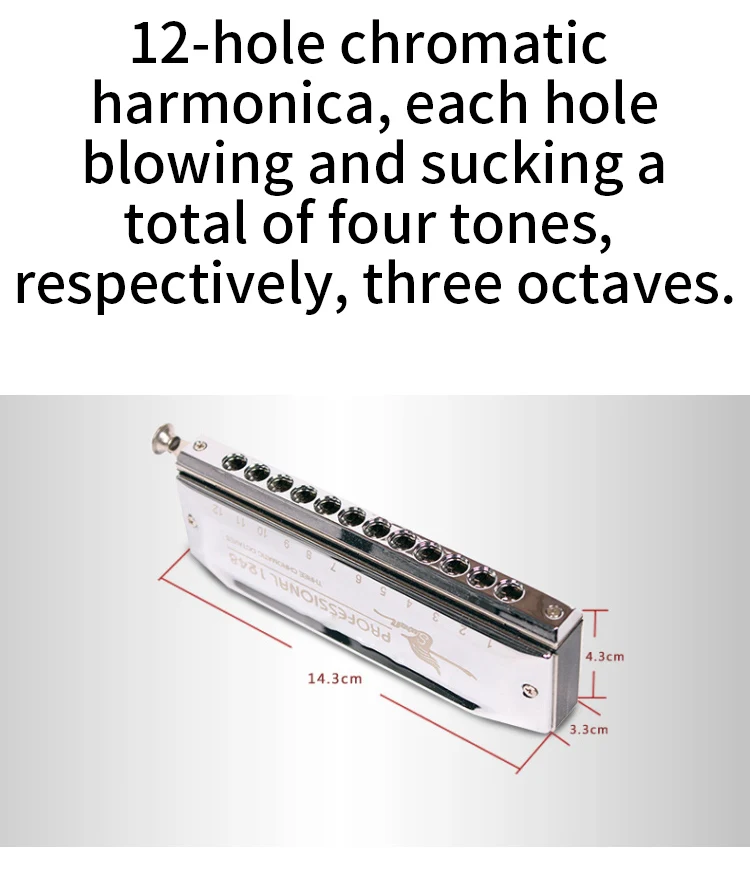 SW1248-4 12 Hole 48 Tone Thick Blow Mouth Practice Playing Chromatic Harmonica