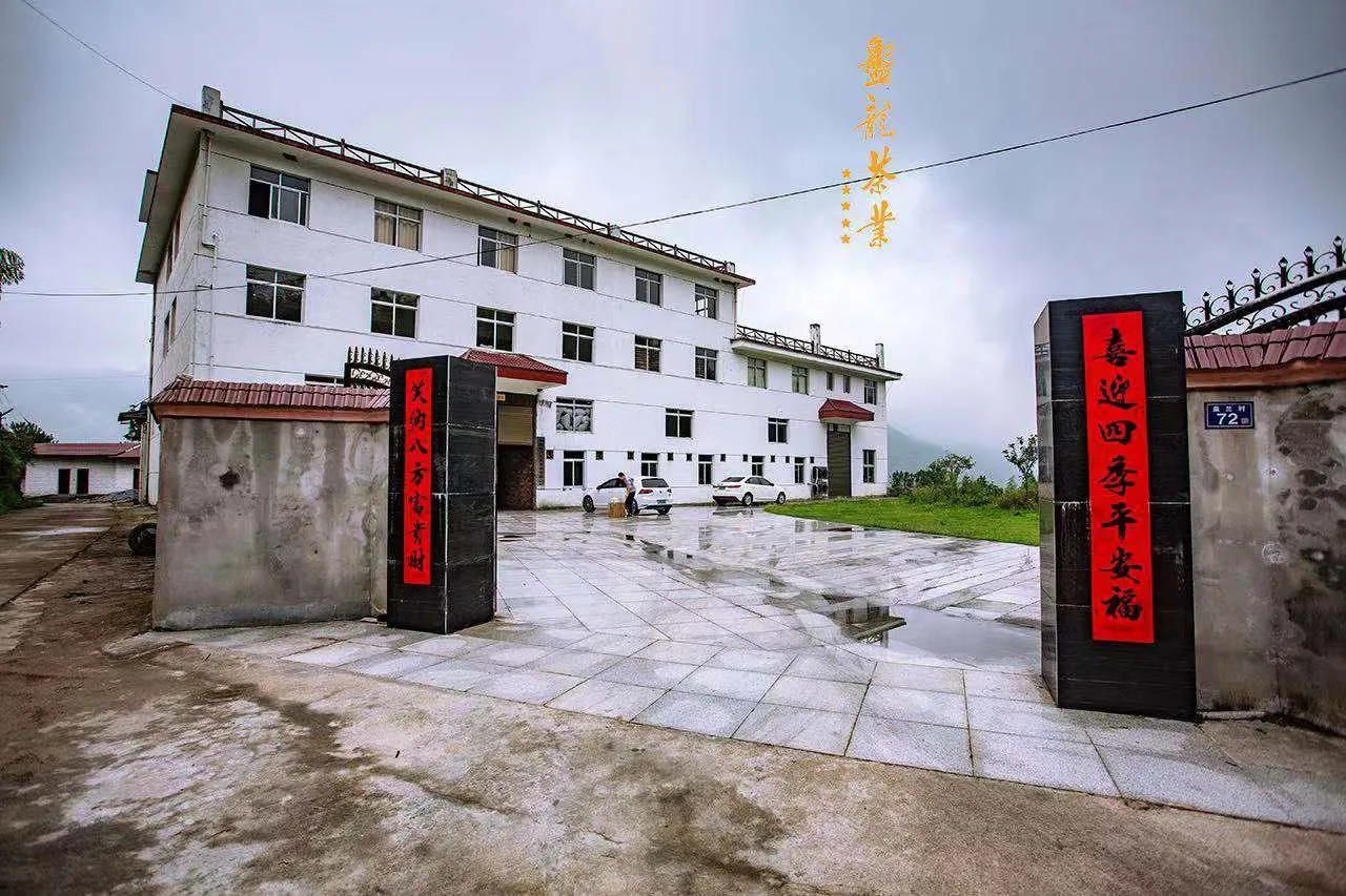 China Manufacturer Premium Oolong Tea Extract - 4uTea | 4uTea.com