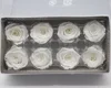 3-5 year long real touch 4-5cm preserved hydrangea roses flower head
