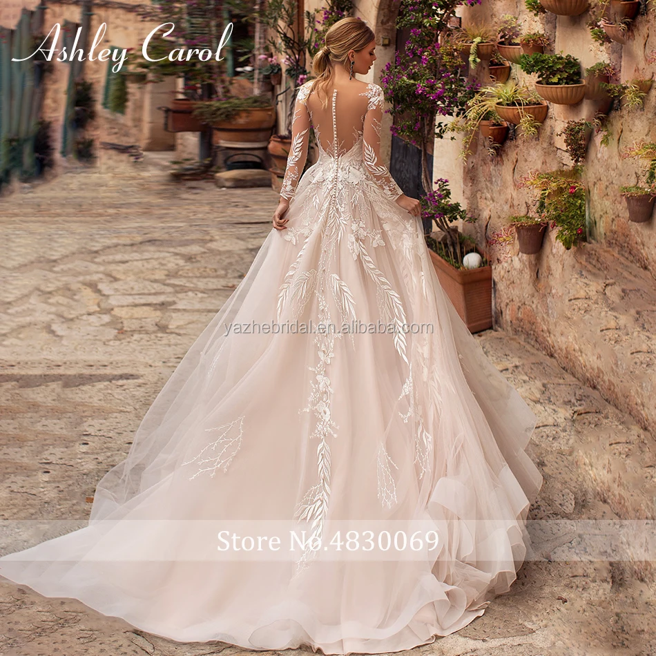 Sexy V-neck Appliques Tulle Wedding Dress 2020 Illusion Backless Long Sleeve Princess Boho Lace Wedding Gowns