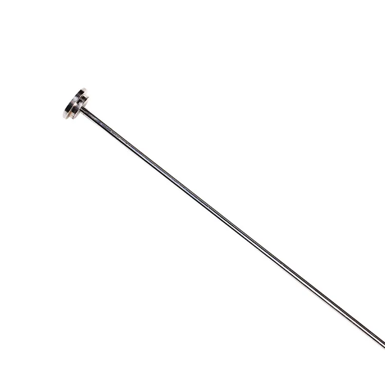 equine insemination.jpg