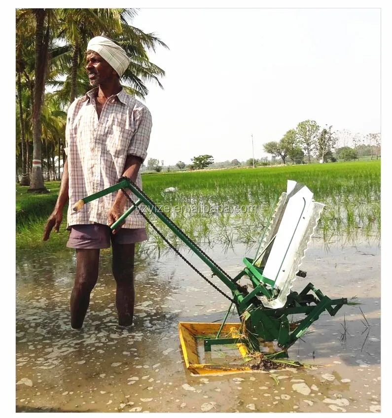 Manual Rice Planter 2 Rows Rice Transplanter Planting Machine And