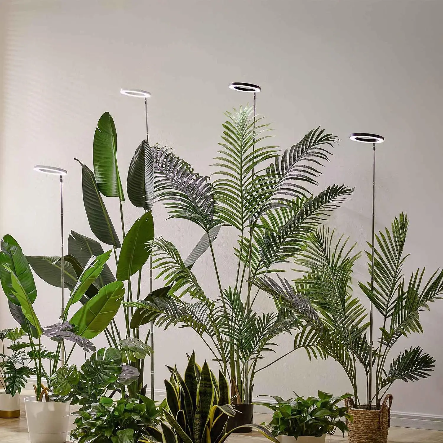 product 6 inch angel ring led indoor plant growth light fleshy green aluminum flower smd source 3000k color for sun growing-8