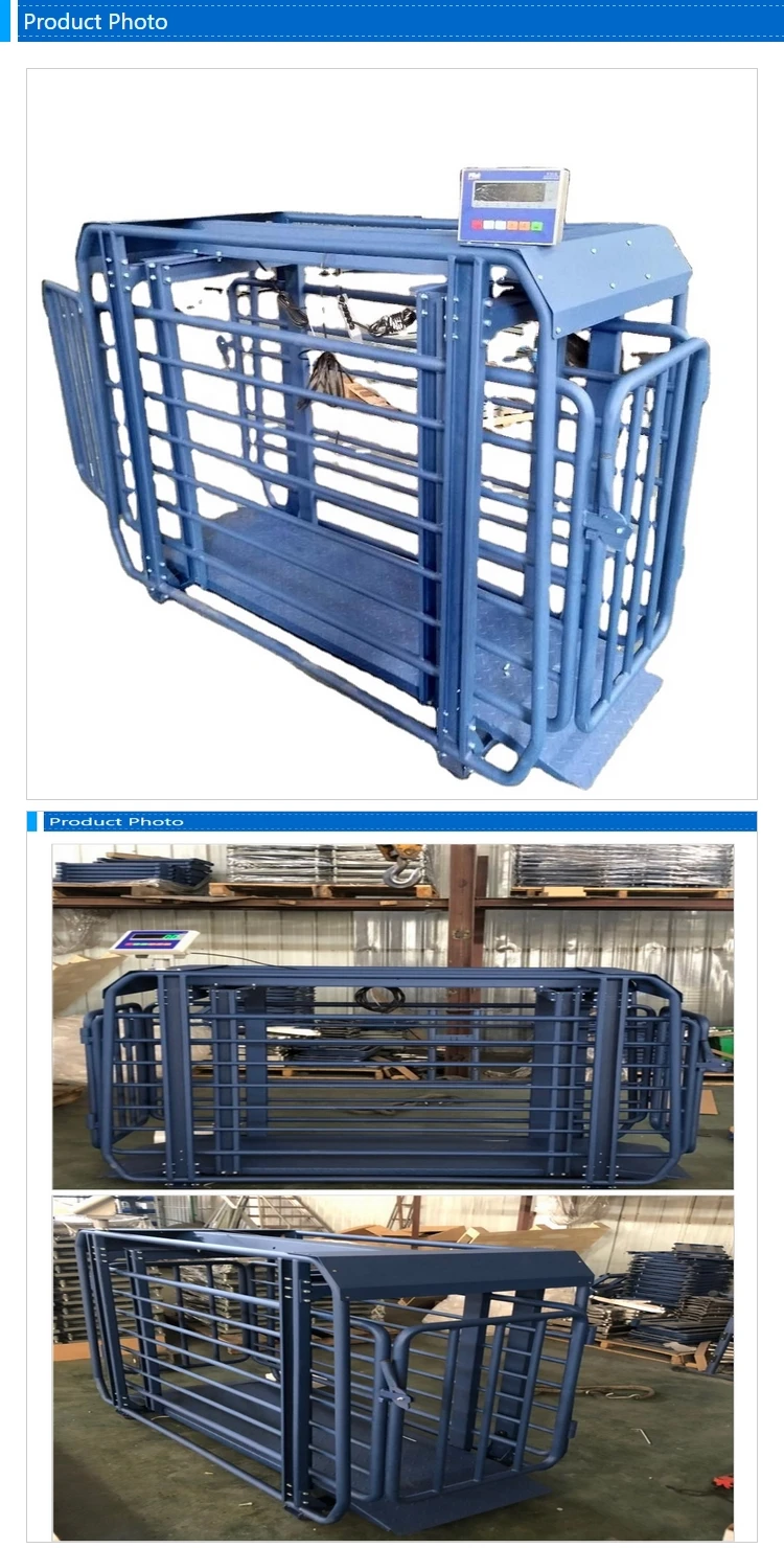 Livestock Platform Scale Buy Livestock Weigh Scales,500kg Livestock