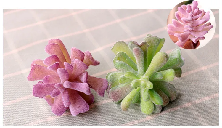 succulents (25).jpg